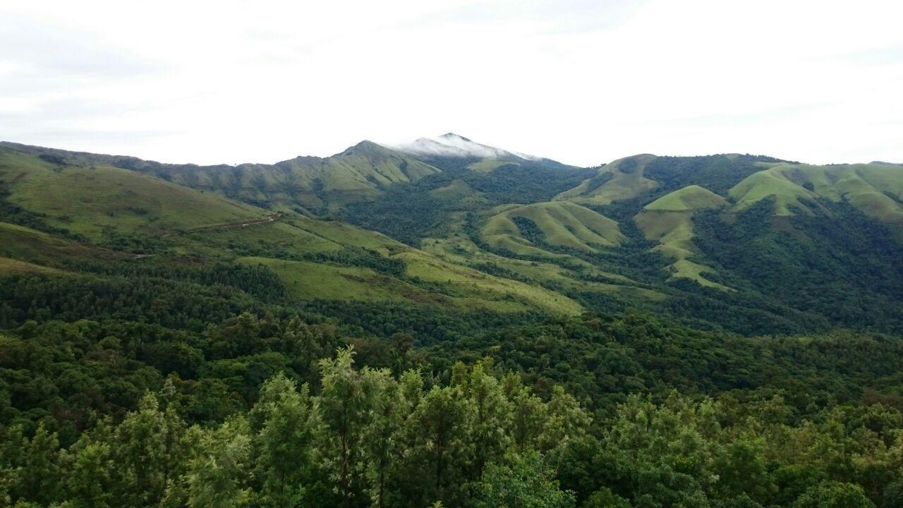 The Greenwood Resort Chikmagalur - Escape To Tranquil Mountain Views Exterior foto